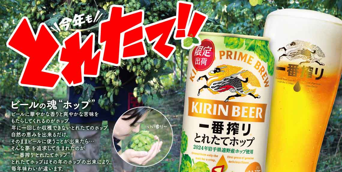 キリン 一番搾り とれたてホップ ご予約特集 2024｜格安・安いお酒の