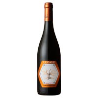 トゥルッリ ルカーレ プリミティーヴォ アパッシメント 750ml