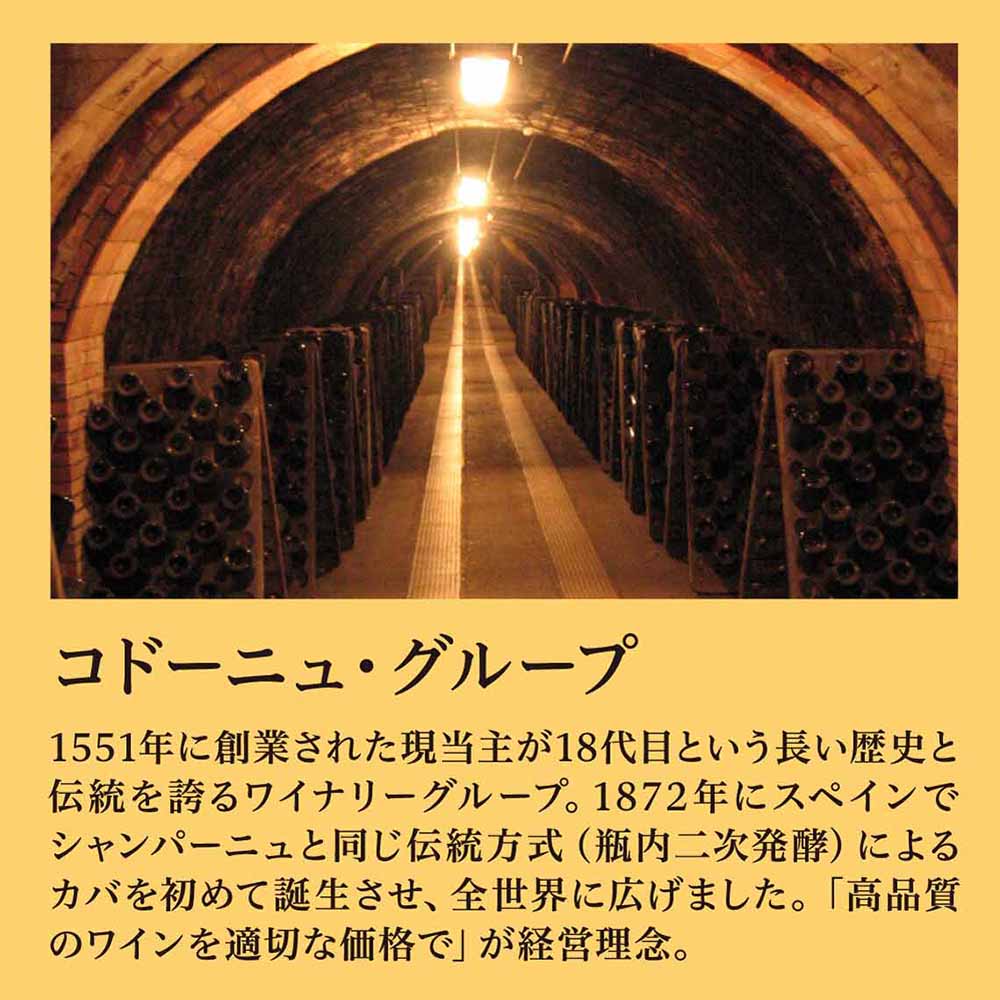 ドゥーシェ シュヴァリエ ドライ 750ml 【センター直送】