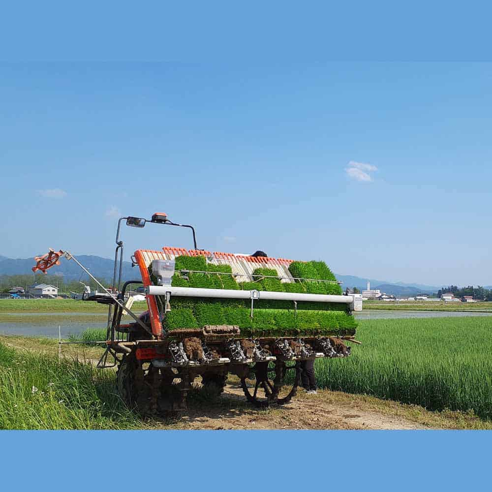 ヤマイチ 無洗米 栃木県産コシヒカリ 5kg