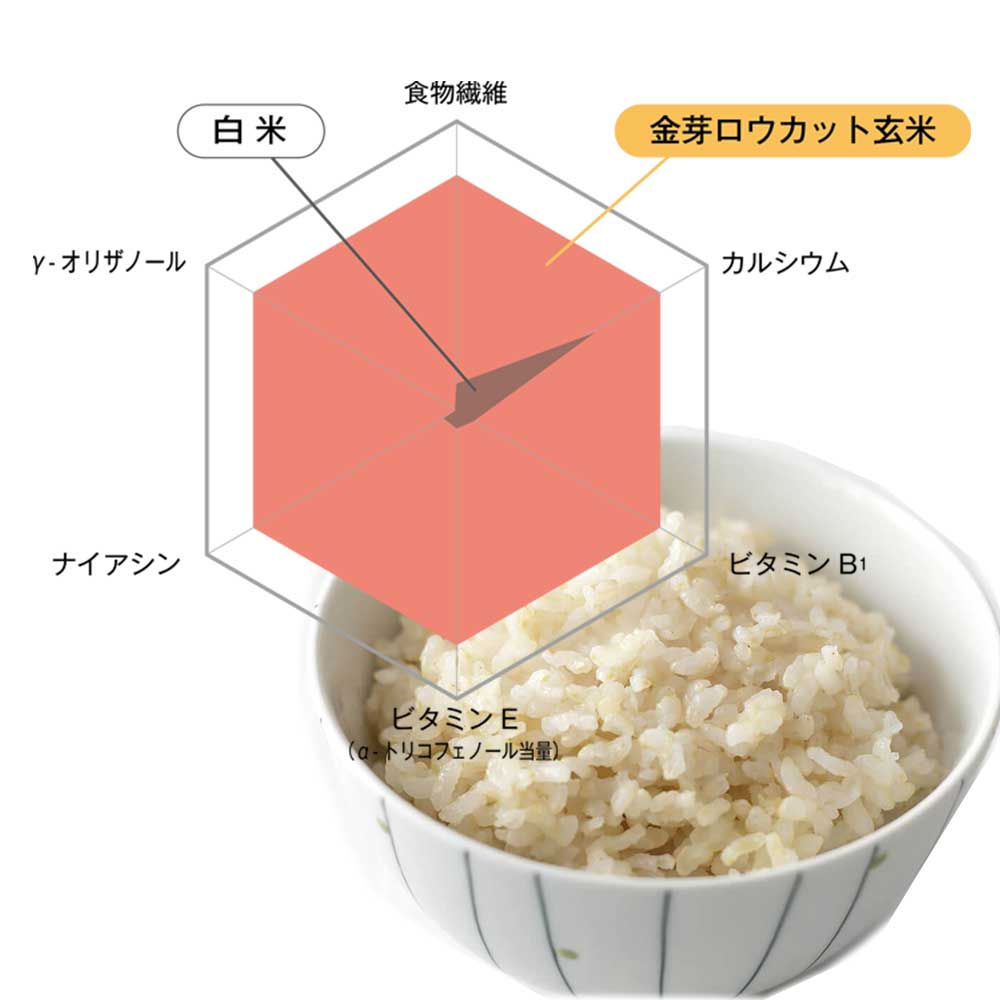 東洋ライス 金芽ロウカット玄米ごはん 150g×3個入