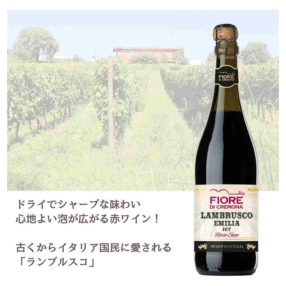 デコルディ フィオール ディ クレモナ ランブルスコ セッコ 750ml
