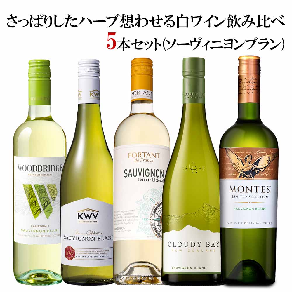 〔セット〕さっぱりしたハーブ想わせる白ワイン5本セット（ソーヴィニョンブラン） 750ml×5本