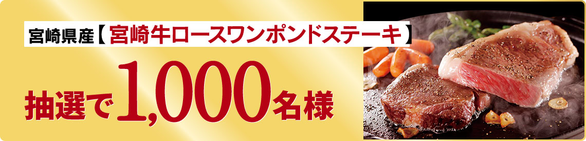 宮崎県産宮崎牛ロースワンポンドステーキ